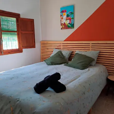 Buganvilla Valência
