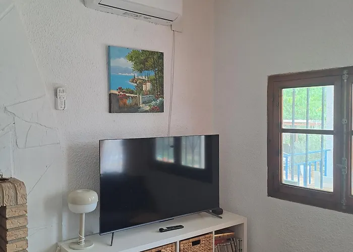 Buganvilla