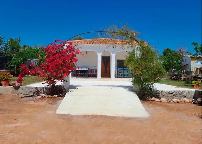 Buganvilla