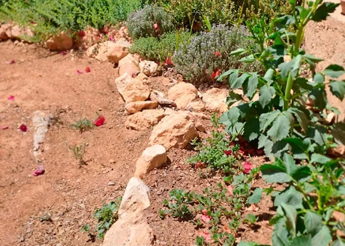 Сasa de vacaciones Buganvilla Valencia