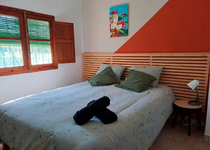 Buganvilla Valencia