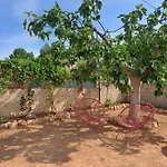 Buganvilla * Valencie