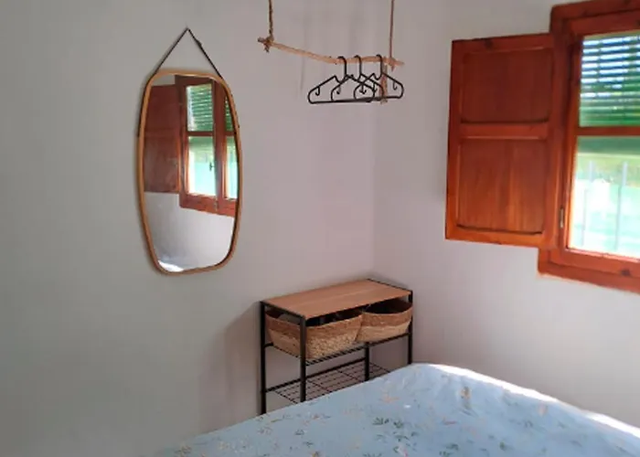 Buganvilla * Βαλένθια